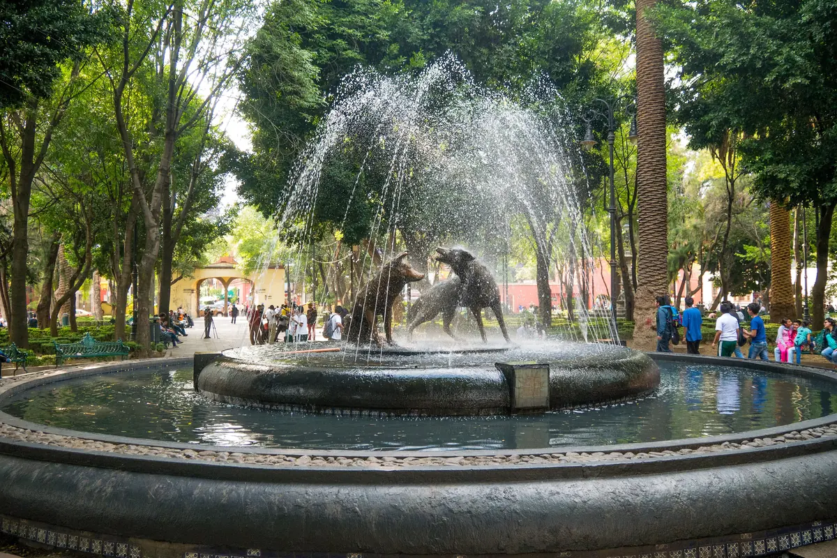 Bronzová fontána s kojoty v coyoacánském Jardín Centenario, dva kojoti v kruhu vodních trysek pod stinnými stromy.